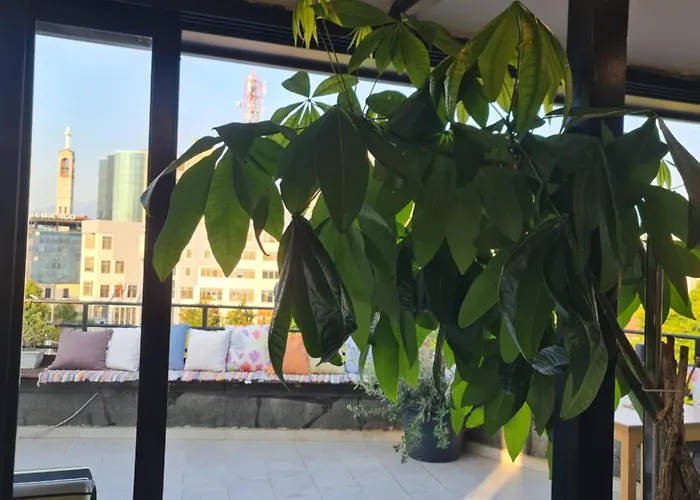 The Rooftop Hostel Shkodra